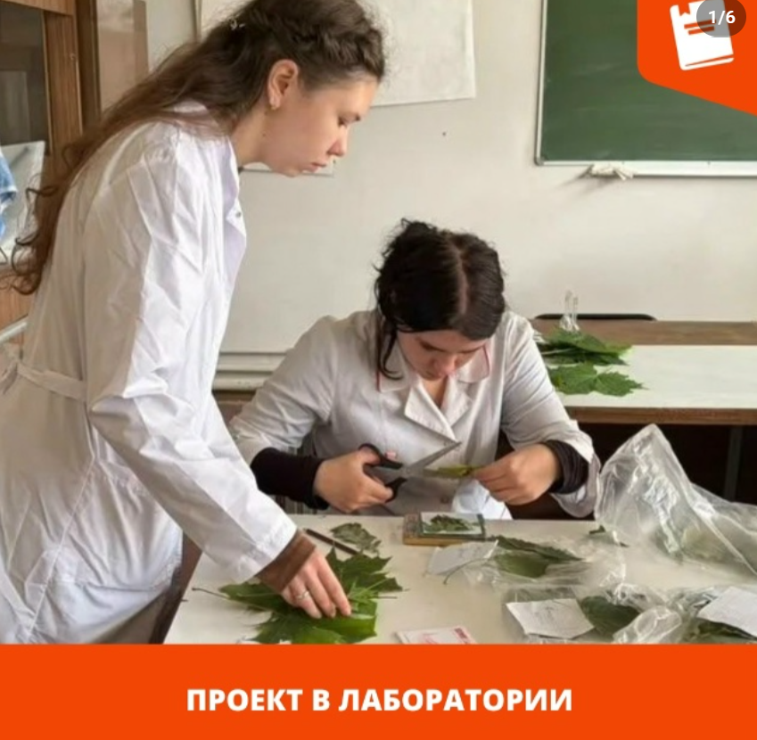 лаборатория